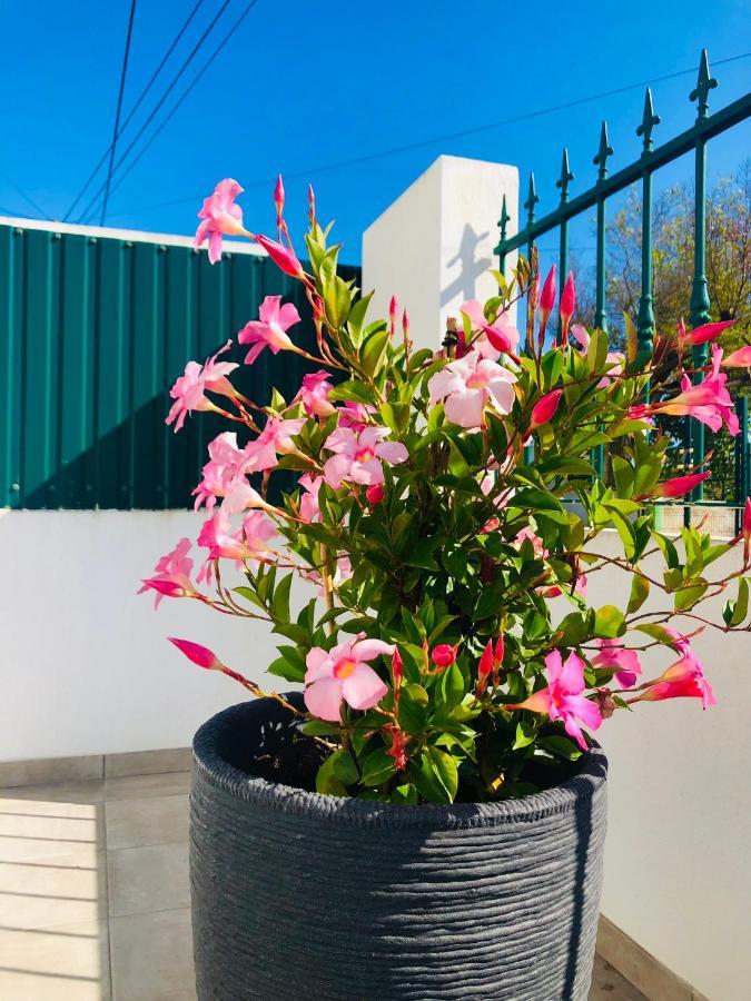 Casa Patio Country House Enxara do Bispo Exterior photo